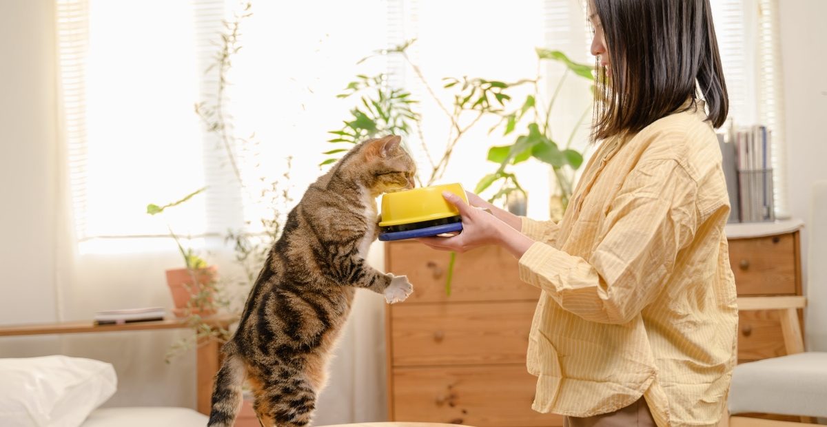 Why Choosing the Right Cat Food Matters: Tips for Cat Owners