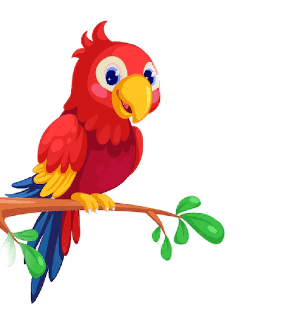 bird blog image bird pet whelpflix